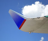 Winglet